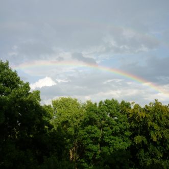 Regenbogen