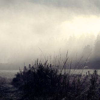Die Natur des Bösen