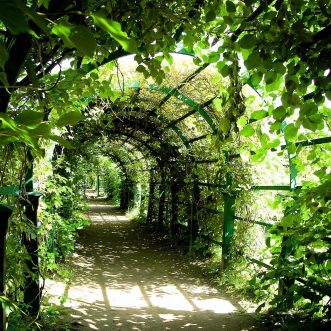 Auf sommerlichem Wandelgang