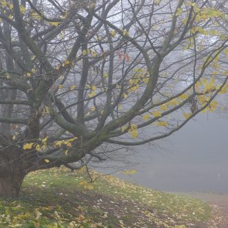 Am Ende des Geldes