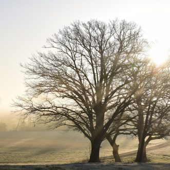 Am Morgenthaupunkt