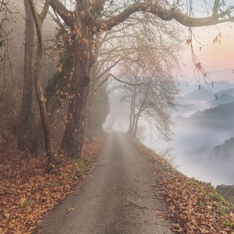 Wohin geht die Reise?