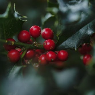 Weihnachtsunfrieden