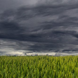 Ein Sturm zieht auf