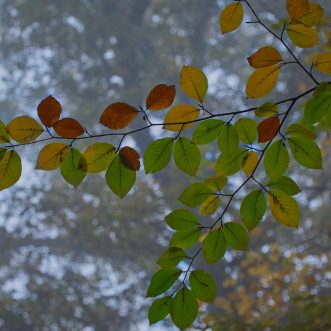 Welt im Wandel