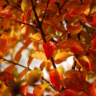 Kein bisschen Frieden