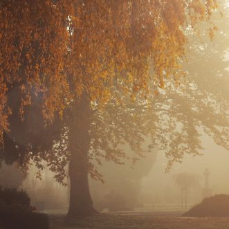 Die Realität langt hin