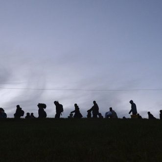 Ukrainischer Lindwurm